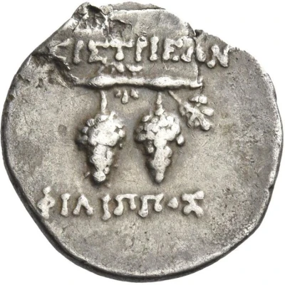 Tetrobol - Philip 180 BC back