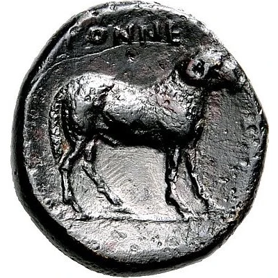 Trichalkon 350 BC back