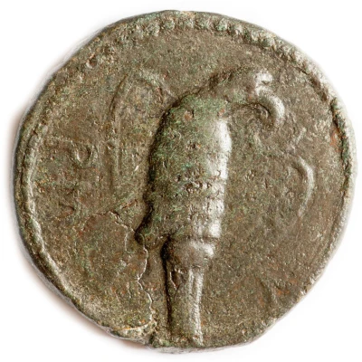 Triple Sestertius - Sauromates II back