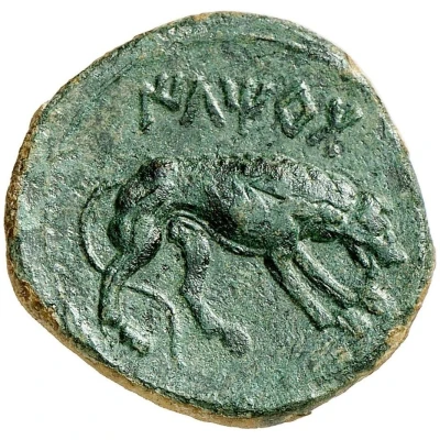 Unit 204 BC - 154 BC back